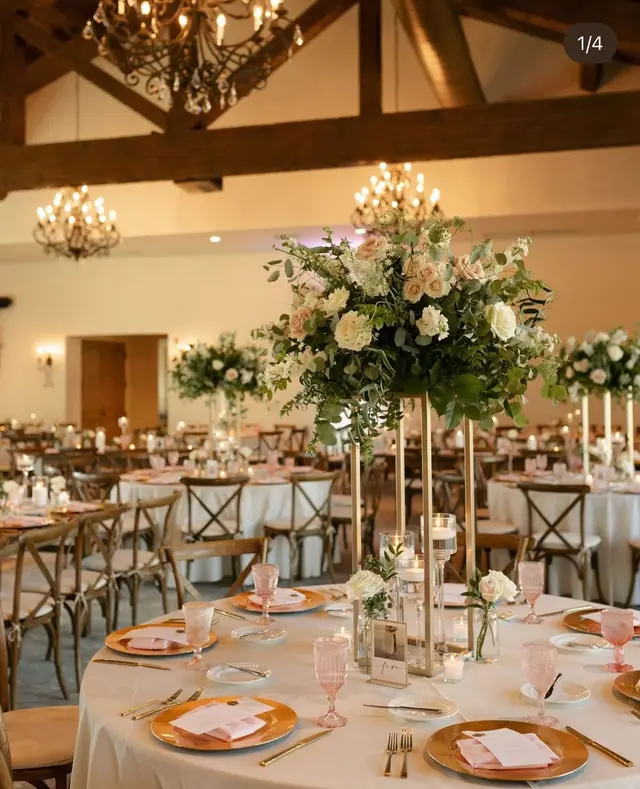 Classic reception design, Classic package, photo 3