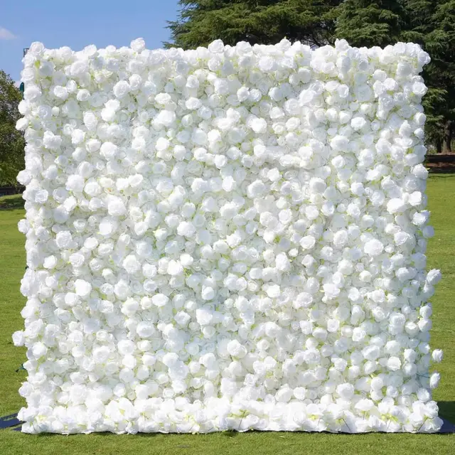 White Roses flower wall